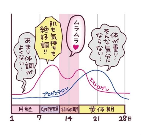 女性の性欲の流れを徹底解説【生理中・排卵日・妊娠。